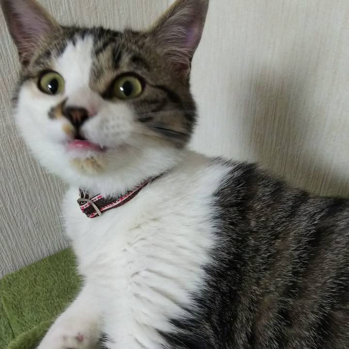 7ac8eca8 f752 44cf 91ee f445a0469e90 1615816280126