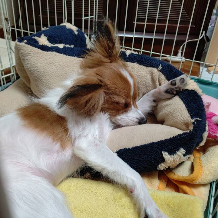 7ac932f3 5271 450f 8be5 a4d15d5fd3b4 1606476346313