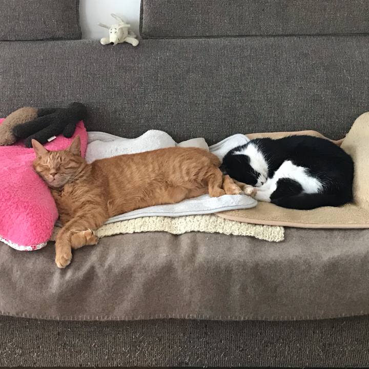 7ac981f4 d098 492a 8dcf f80728562a25 1576313374272