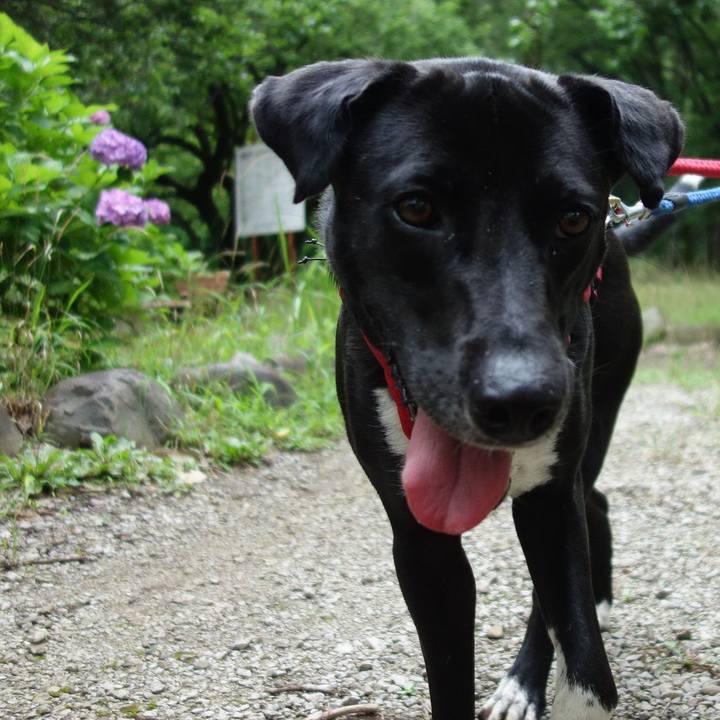 7ac994e5 5b82 456e adde 012dbc8e9ee9 1592955267208