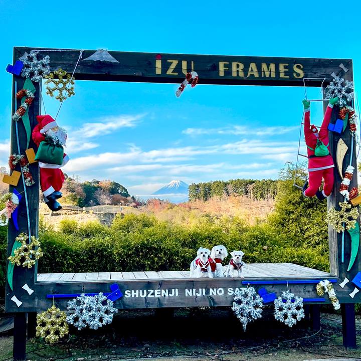 7ac9cda1 7158 48ca b8c9 0869ac2d11dc 1671595147897