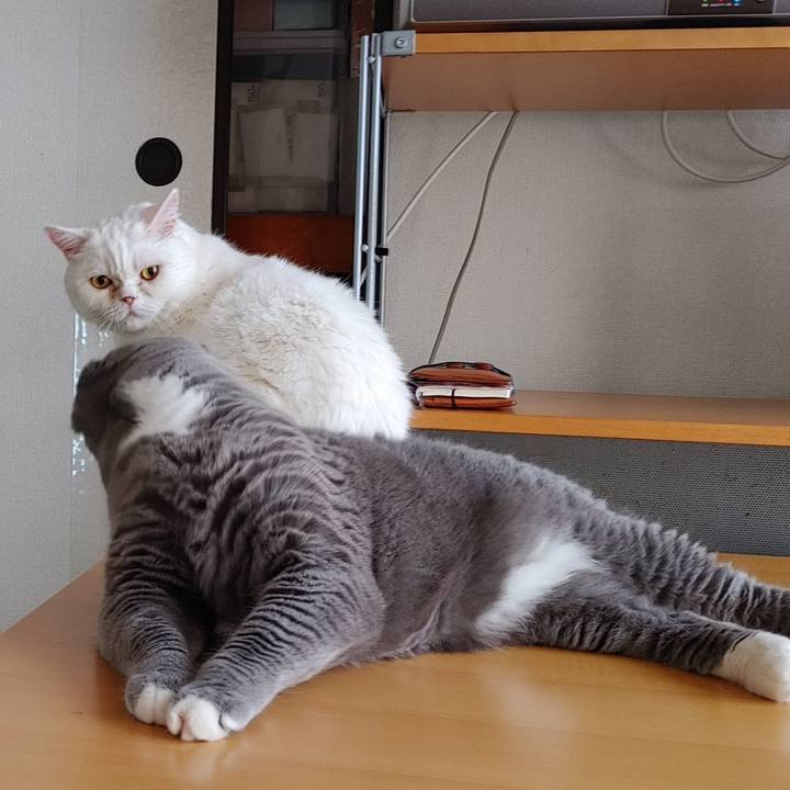 7ac9eb07 8573 4b06 b34c 59d5ee4b3b15 1659218139177