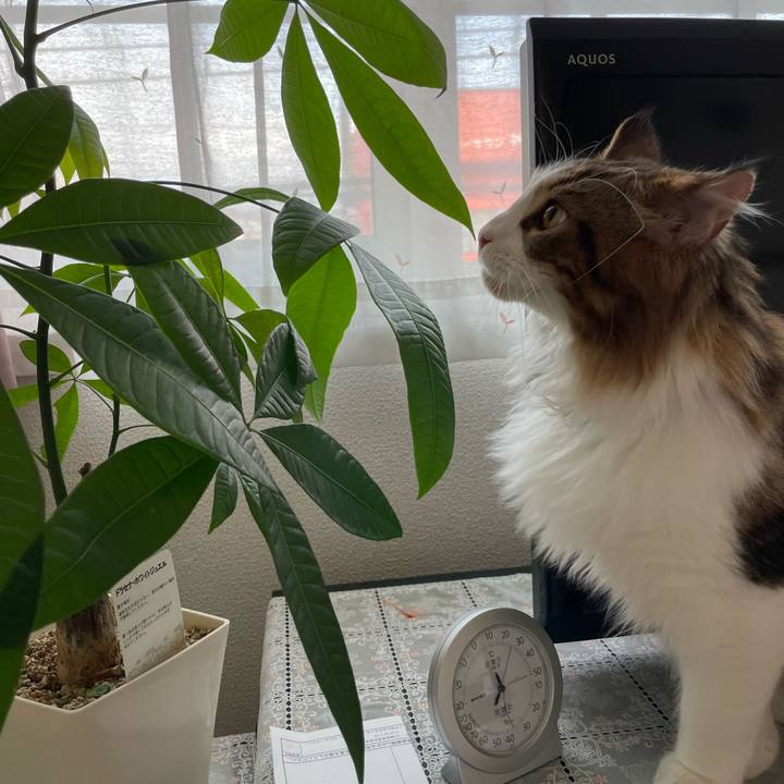 7aca24e2 f6e2 4899 a849 c067c93b9fd0 1644645634221