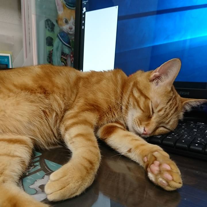 7aca253a 911f 4313 a220 f5c4b9db7836 1520605690691