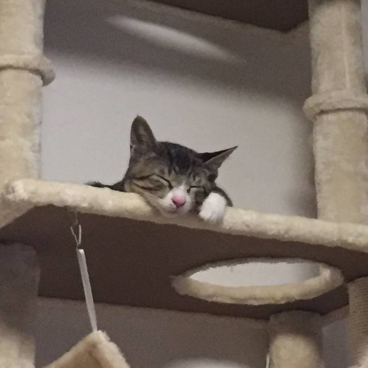 7aca3dea 1124 4f62 8927 a2d1ddebe79d 1657169628659