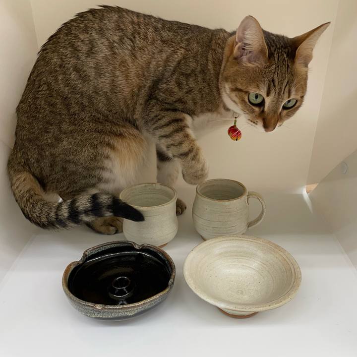 7aca4d07 db56 48e1 b6a4 833b98421017 1681180819489