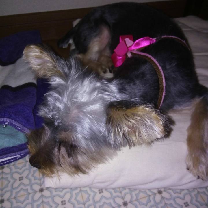 7aca52c5 02c4 4ab8 b974 bd6676198b28 1534848346829