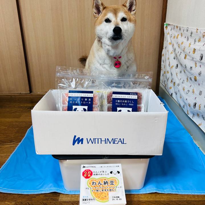 7aca6863 6bfd 4b6b ac31 9cf77bcb5184 1725419798836