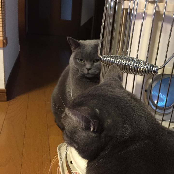 7aca6c47 ed42 4fbf b9e4 f7beb43ca645 1520343574758