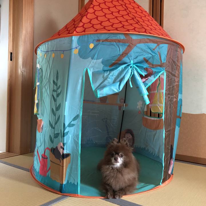 7acabaa2 0234 4448 922d 21615379d5f4 1598759098029