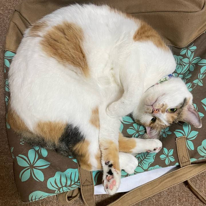 7acadc88 e666 46be a68a 07093f70679a 1696462554067