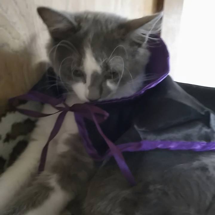 7acb25d9 05a6 479a 97bd 1548fedff9ee 1566723742774