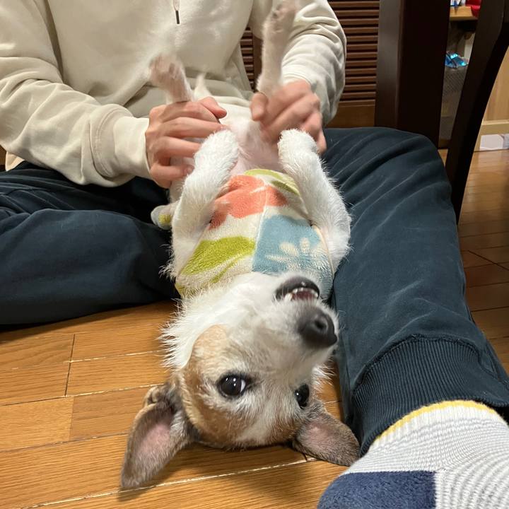 7acb43c3 9b74 4fbd ab61 50c178dd9a74 1703984354513