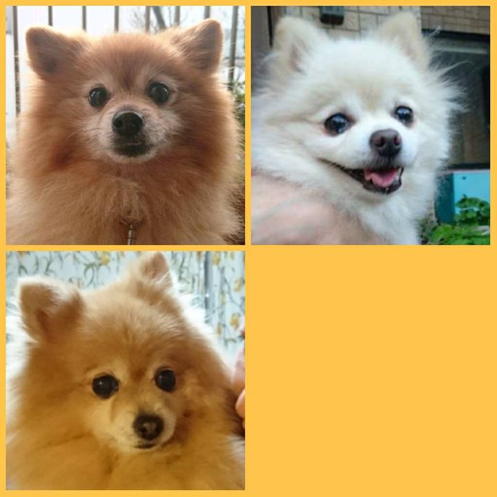 7acb4dbd 50b4 43ad 8e64 57b98f54d1c8 1519509676703