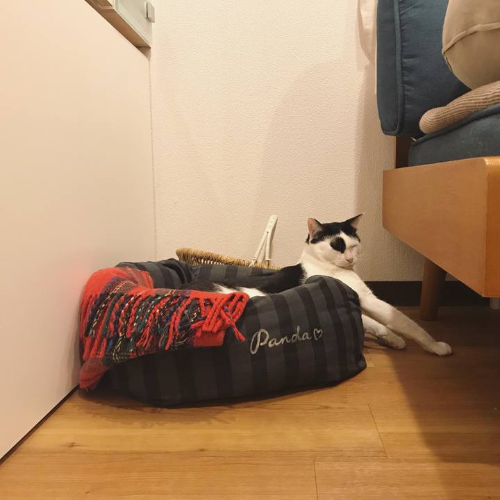 7acb82ce fcc6 41a4 a7c9 dbfd285eda0e 1537626739210