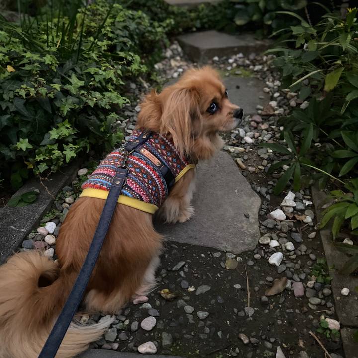 7acbd3e2 f3a6 4b6c 8f43 b5b5e1a04544 1575495919091