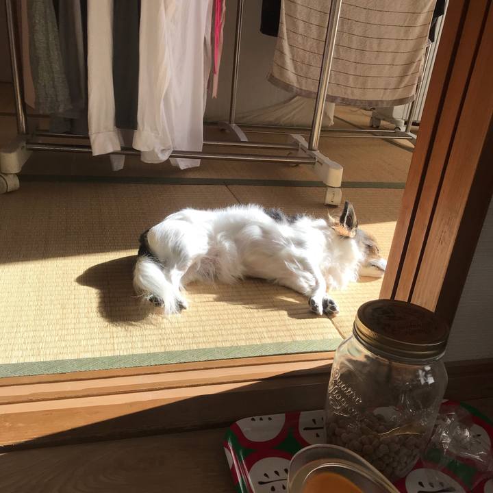 7acc1743 253a 410c acf6 d60fd3dae27f 1546486172543