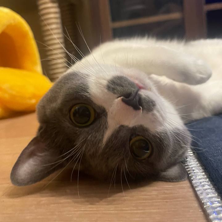 7acc399b cbc1 4378 8fe5 fb87ebd9cc5a 1694968092735