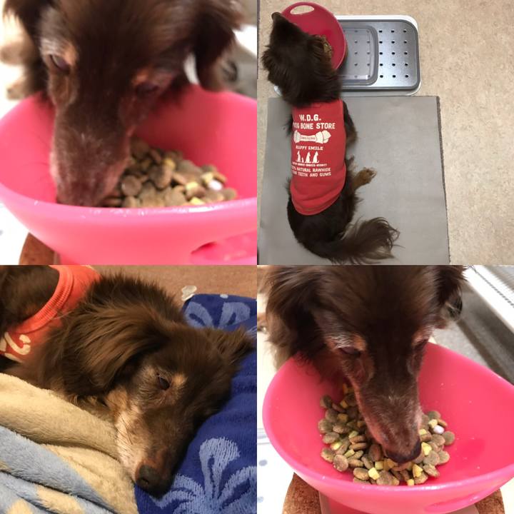 7acc4584 0743 4f73 ae58 10b98ccb39f2 1563182888838