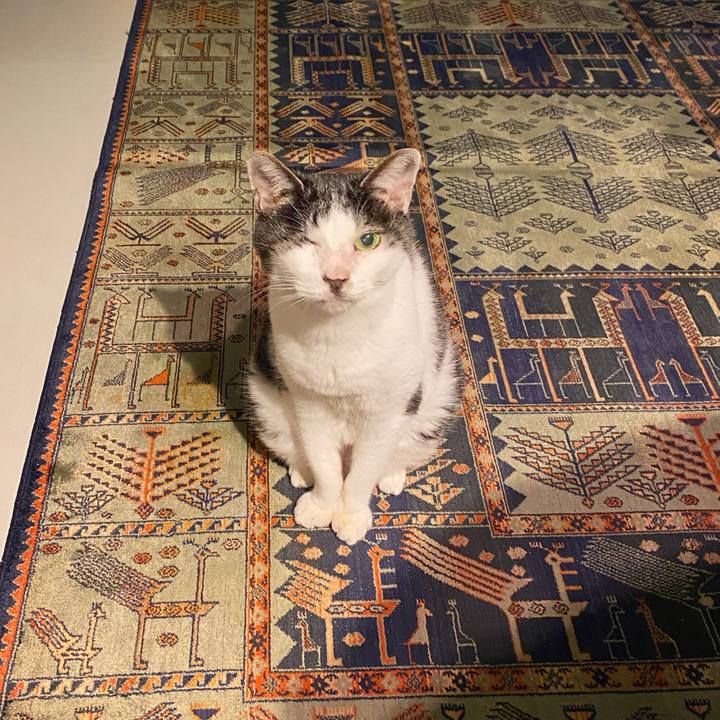 7acc4a87 b9b1 4dd1 9969 e992b3362818 1638874536139