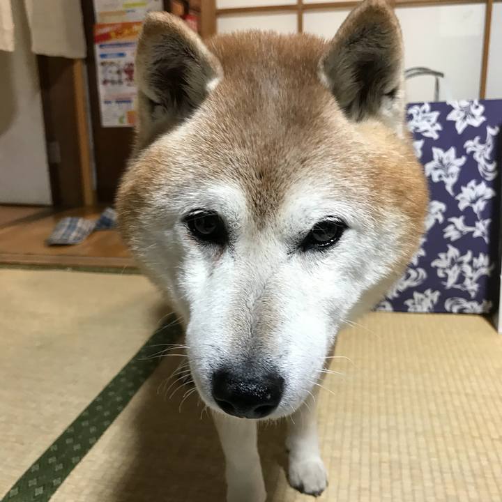 7acc679a ae36 4c0d 98c9 e7fc12f54a13 1511917444529