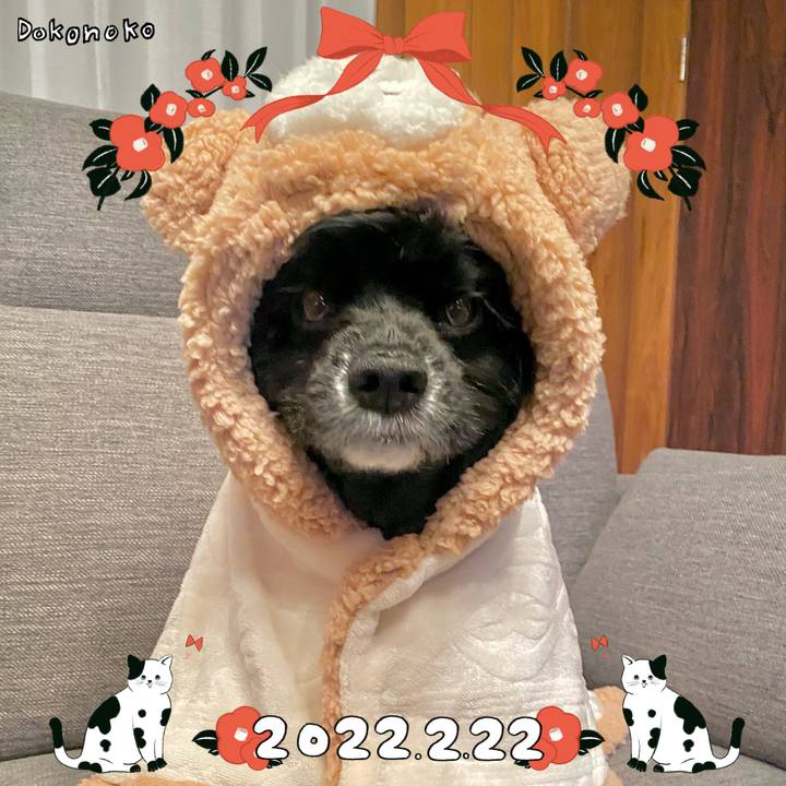 7acca687 2682 4a6f 878c 00a9db79a17a 1645523228765