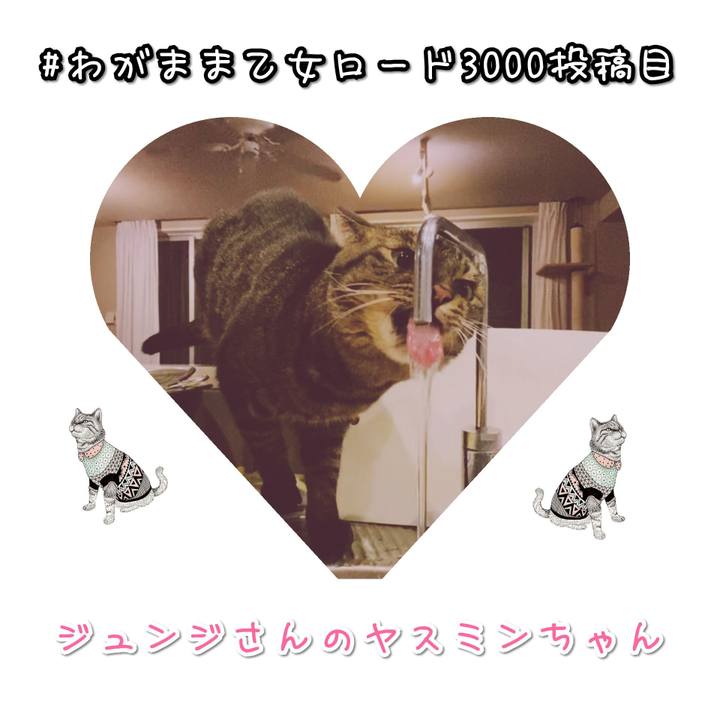 7accf54d e2a2 4d48 bf5f 7d0a44ba5ccb 1584166813512