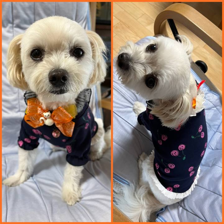 7acd3c44 ae8c 4136 9ae5 c827a31dac2c 1663471444878