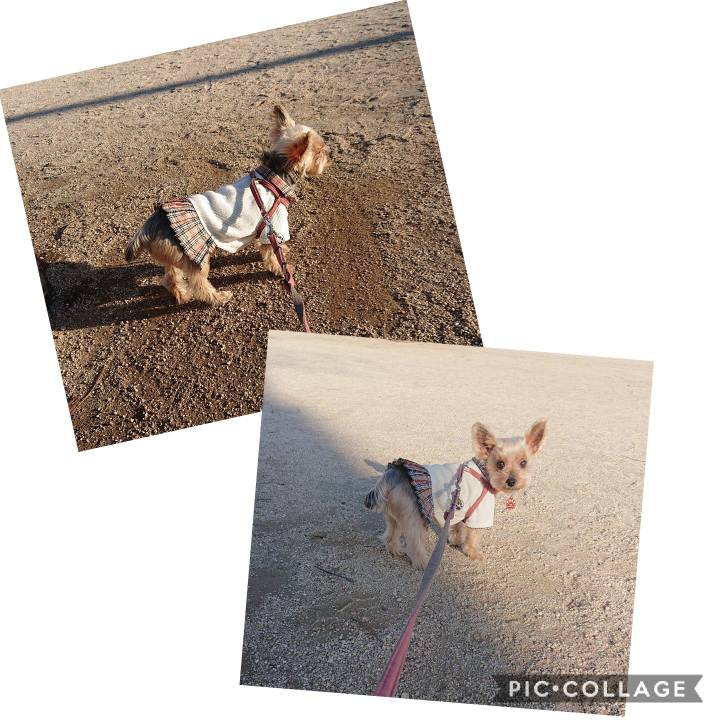 7acd6cbc 0cdb 4634 9b2b 6237c803afa9 1584745166199