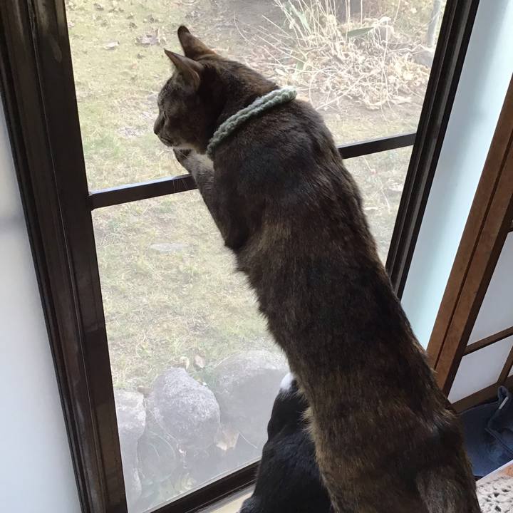 7acda55a c60e 45d2 9ab3 38b6c59e3f27 1646641481854