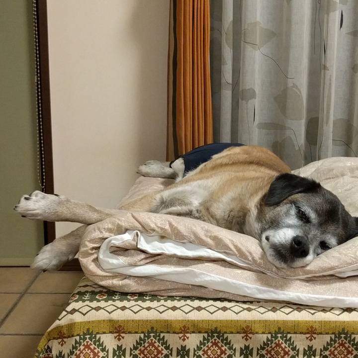 7acda7aa 84cc 4c9d a596 9a6918a0460d 1518040463948