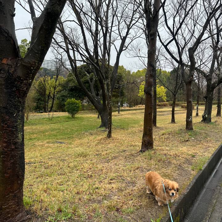 7ace375e 88ed 41c1 9ff5 ea2fa4e2d588 1679105806067