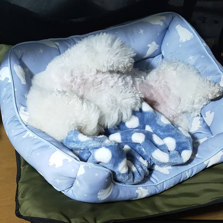 7ace49c9 f383 4245 ab8e fea192a4d0ad 1764388699481