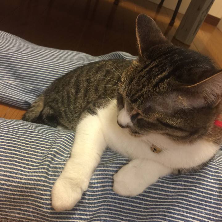 7ace67d6 f815 4ae5 bf3d b2f3f0dfc7c8 1561803244894