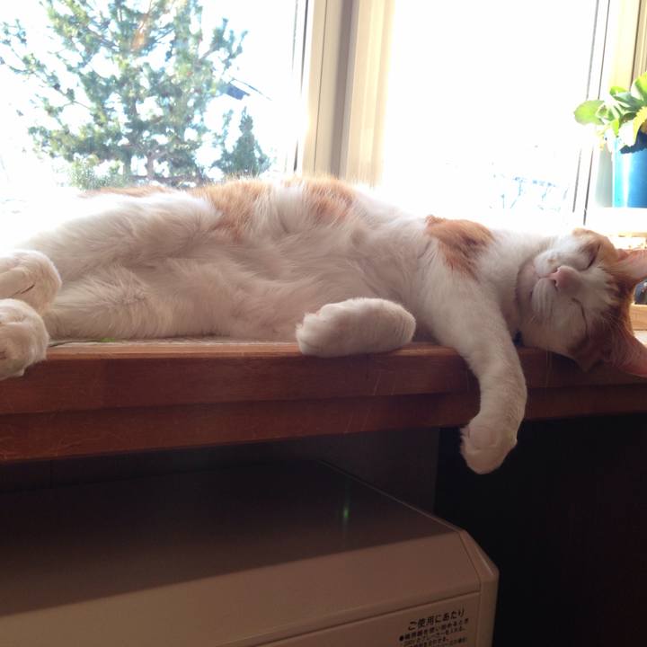 7ace6861 e680 4538 b5e4 6817ad9a3330 1520027753219