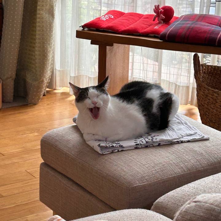 7ace68d6 9e63 493e ace7 030e9cea1392 1749616367440