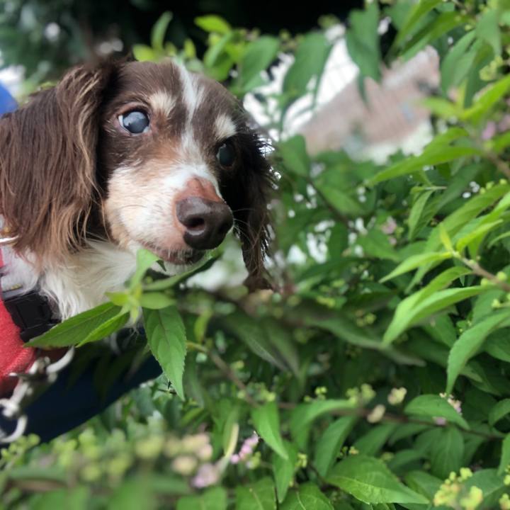 7ace9519 5818 41ae b1f4 194addd9fe0a 1625280887789