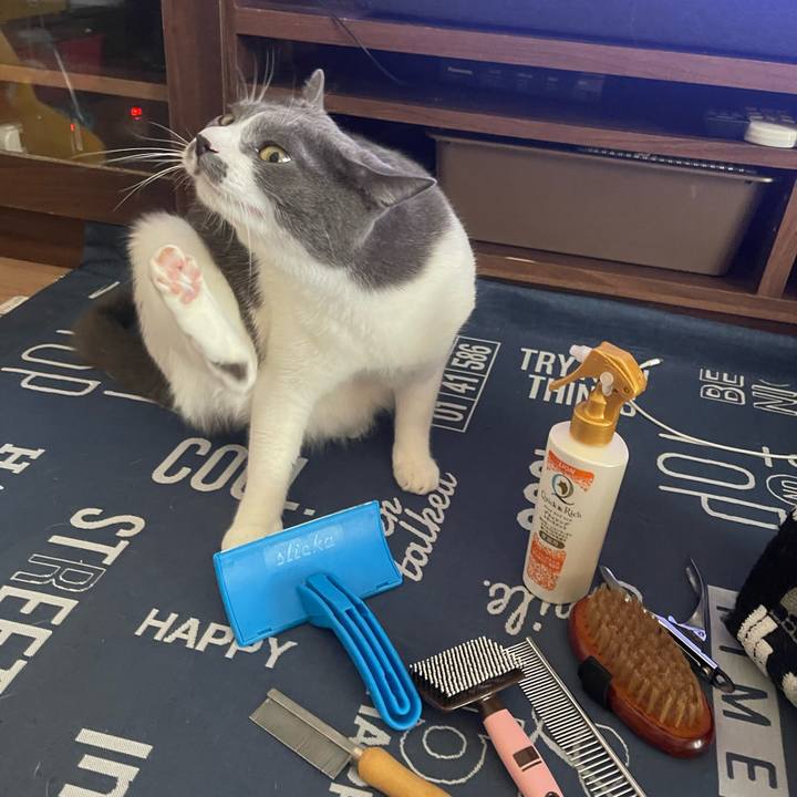 7ace979e 717c 468b a1aa bc2875418709 1693707391235