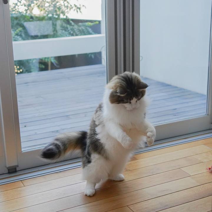 7ace9c0f 061c 4b44 8e66 f533ed5b7a6a 1608686683895