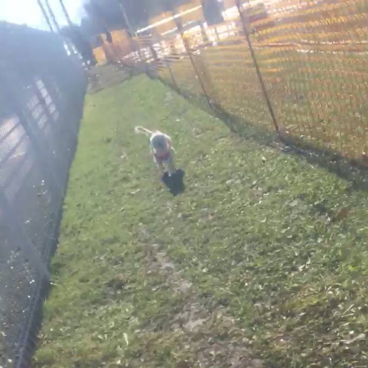 7acea4f8 fee8 440a bf84 3adc1528bb01 1542449614544