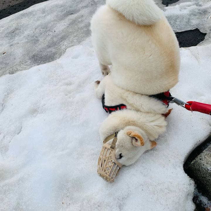 7acecd93 8737 4dd4 b5dd af1fa7129cf8 1679525151715