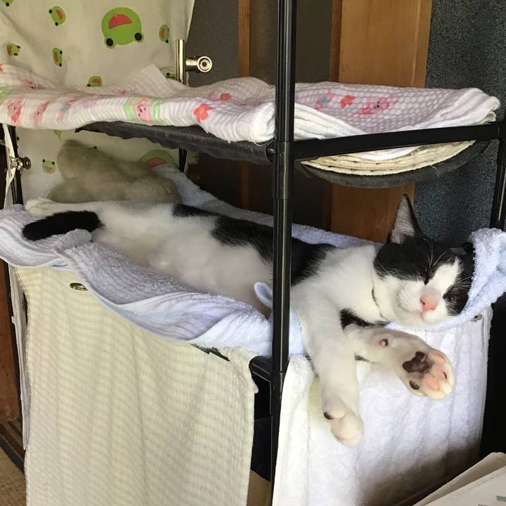 7acee105 3225 48ac afd4 bb066175a572 1631505387623