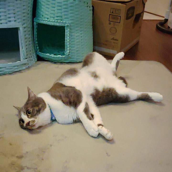 7aceecfa 15c2 455f a688 1fd016e539c9 1653311335377