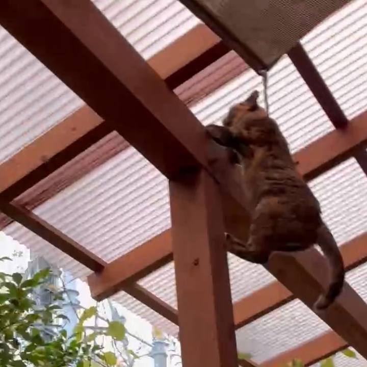 7acef936 b00c 4307 87f0 0e4e0b2c508a 1761466554214