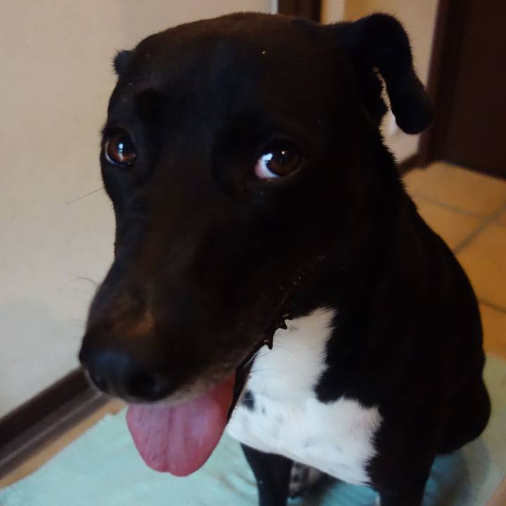 7acefc6e 7f37 462f 976a 203da789c36b 1625526537838