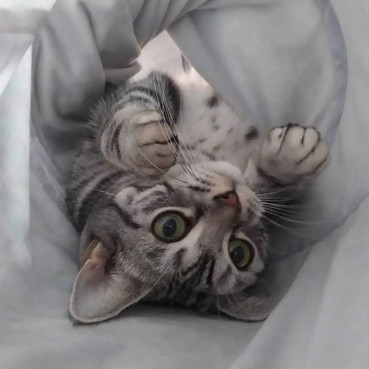 7acefde4 5c0c 4289 a82a 672de24f04bc 1575360514369