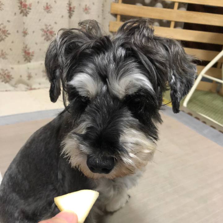 7acf0304 711f 4aa9 8e36 c5dd671eb3a5 1632829901995