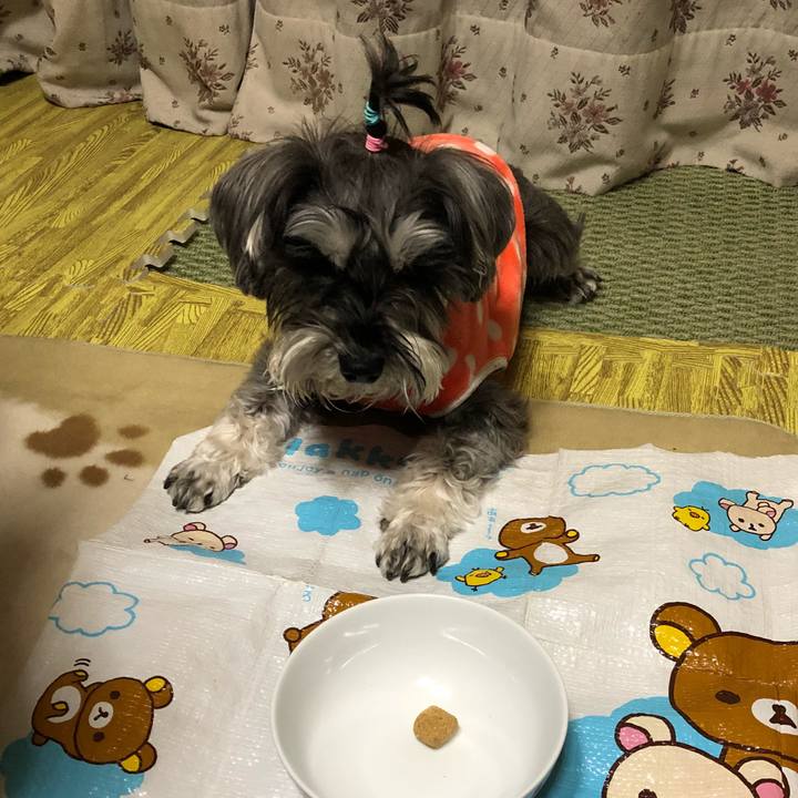 7acf39c1 273d 47bb b220 3a0a3654aab2 1520417357790