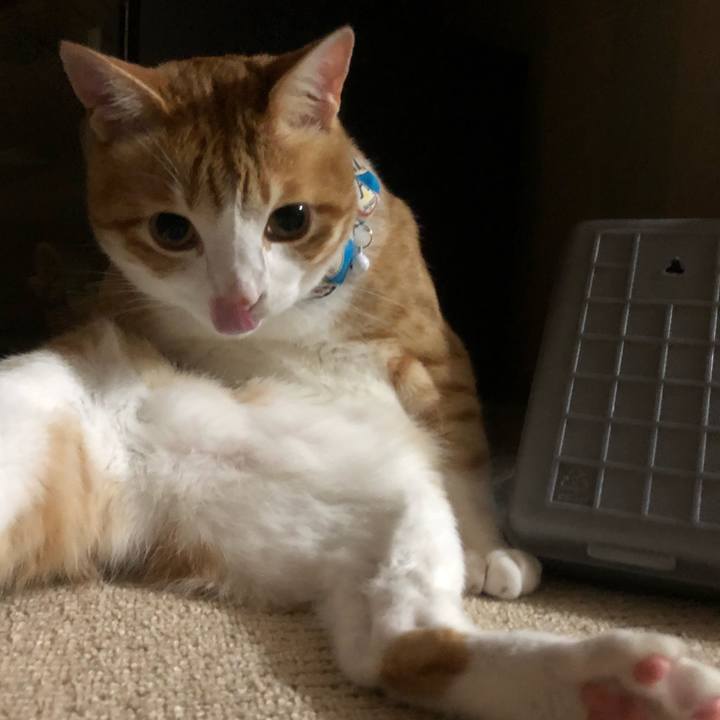 7acf41d4 a255 4c49 91bf 53e27370d190 1530875079158