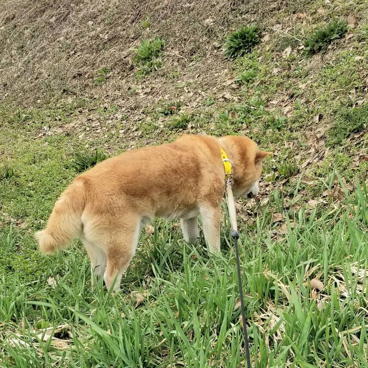 7acf4cd4 137b 43d1 9c90 660f72c60fbc 1680764974545